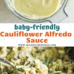 cauliflower cashew alfredo sauce - mjandhungryman