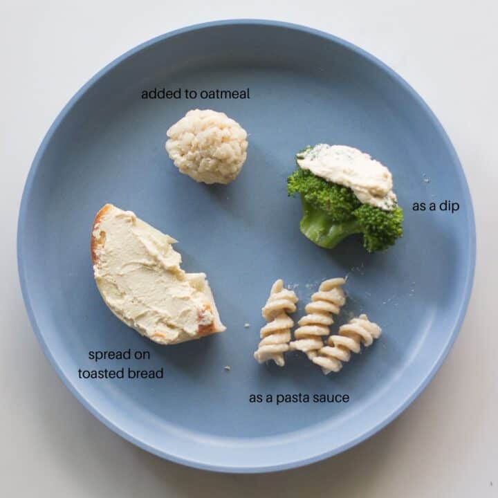 Best Cheese for Babies and Toddlers MJ and Hungryman