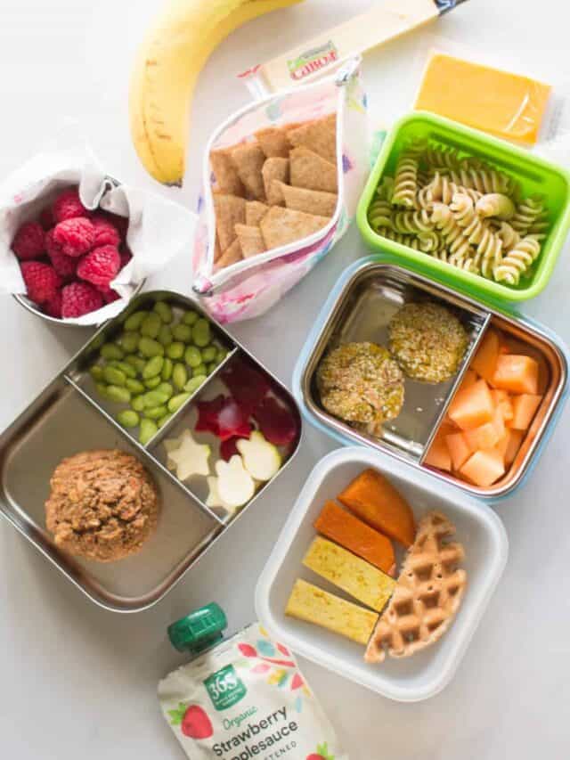 Healthy Travel Food Ideas (to share with babies and toddlers) MJ and