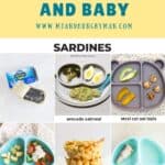 collage of different ways to serve sardines to baby