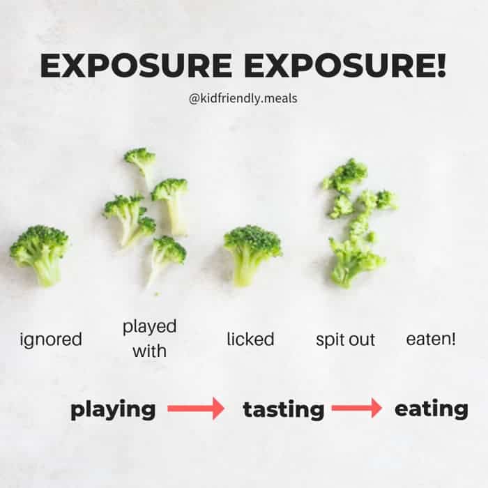 Repeated Food Exposure for Babies and Toddlers MJ and Hungryman