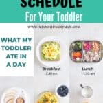 what my toddler ate in a day showing the meals and snacks along with mealtimes
