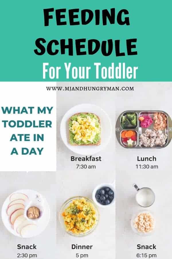 Help your Child to eat better with a Feeding Schedule - MJ ...