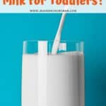 best milk for toddlers