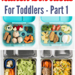 a collage of all the preschool lunches mentioned in this post