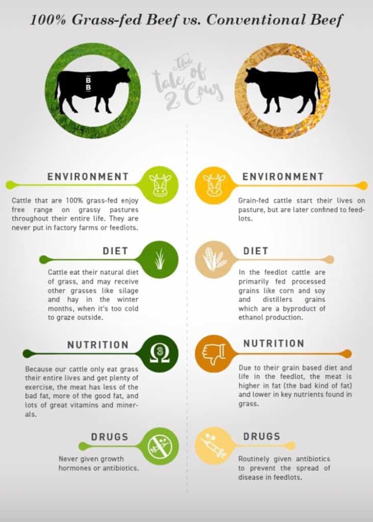 Infographic showing the difference between 100% grass fed vs. conventional beef