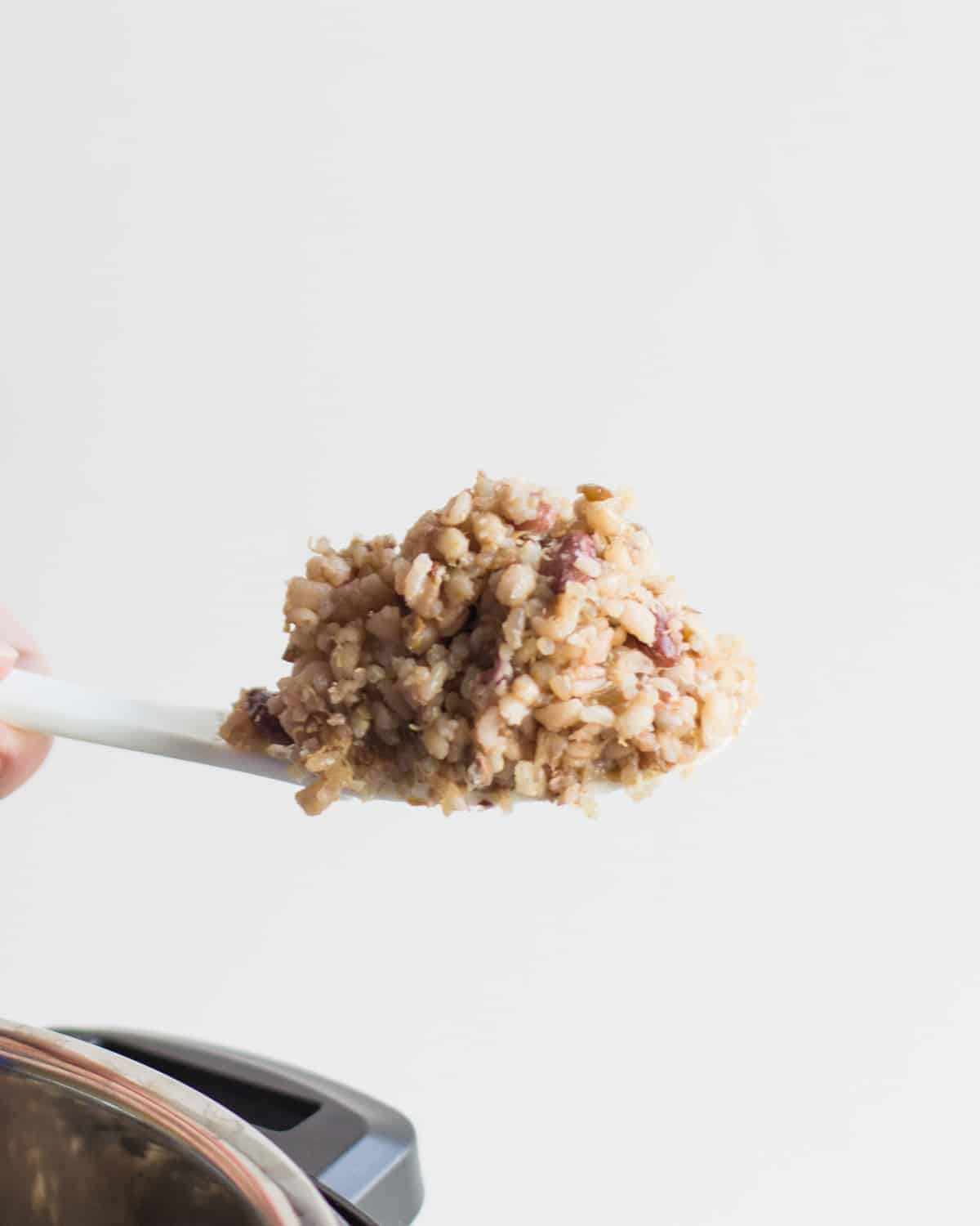 a big scoop of multigrain rice held out against a white backdrop