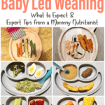 6 image collage with plates of finger shaped strips of food to serve to 6-8 months old