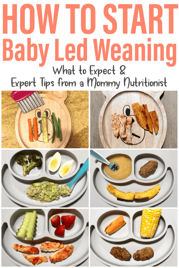 How to Start Baby-Led Weaning