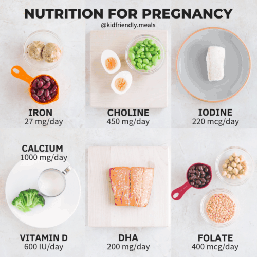 https://www.mjandhungryman.com/wp-content/uploads/2020/05/nutrition-during-pregnancy-500x500.png