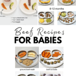a collage showing all the different ways to offer beef to babies including beef strip, puree, meatballs, oatballs, pot roast, and chili