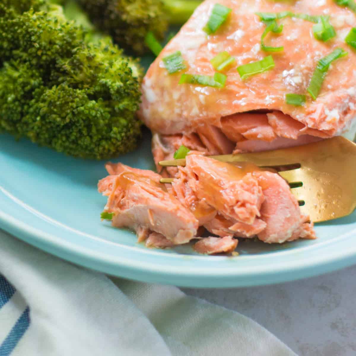Ultimate Guide to Salmon for Babies (with Recipes) - MJ and Hungryman