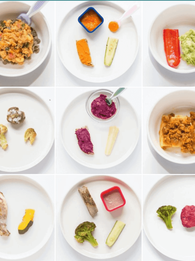 Best Iron Rich Foods for Babies and Toddlers MJ and Hungryman