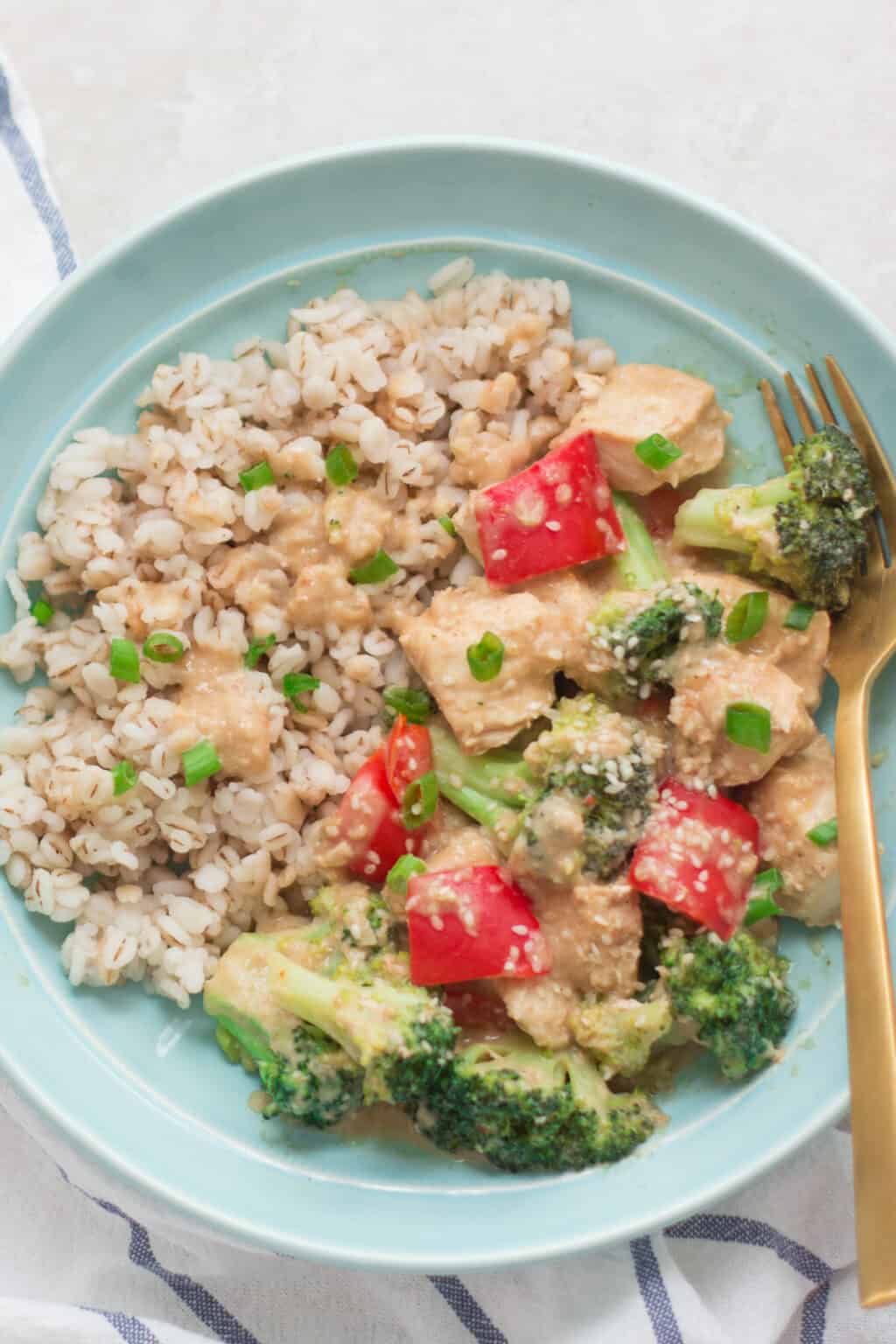 Instant Pot Peanut Chicken (with Broccoli) MJ and Hungryman