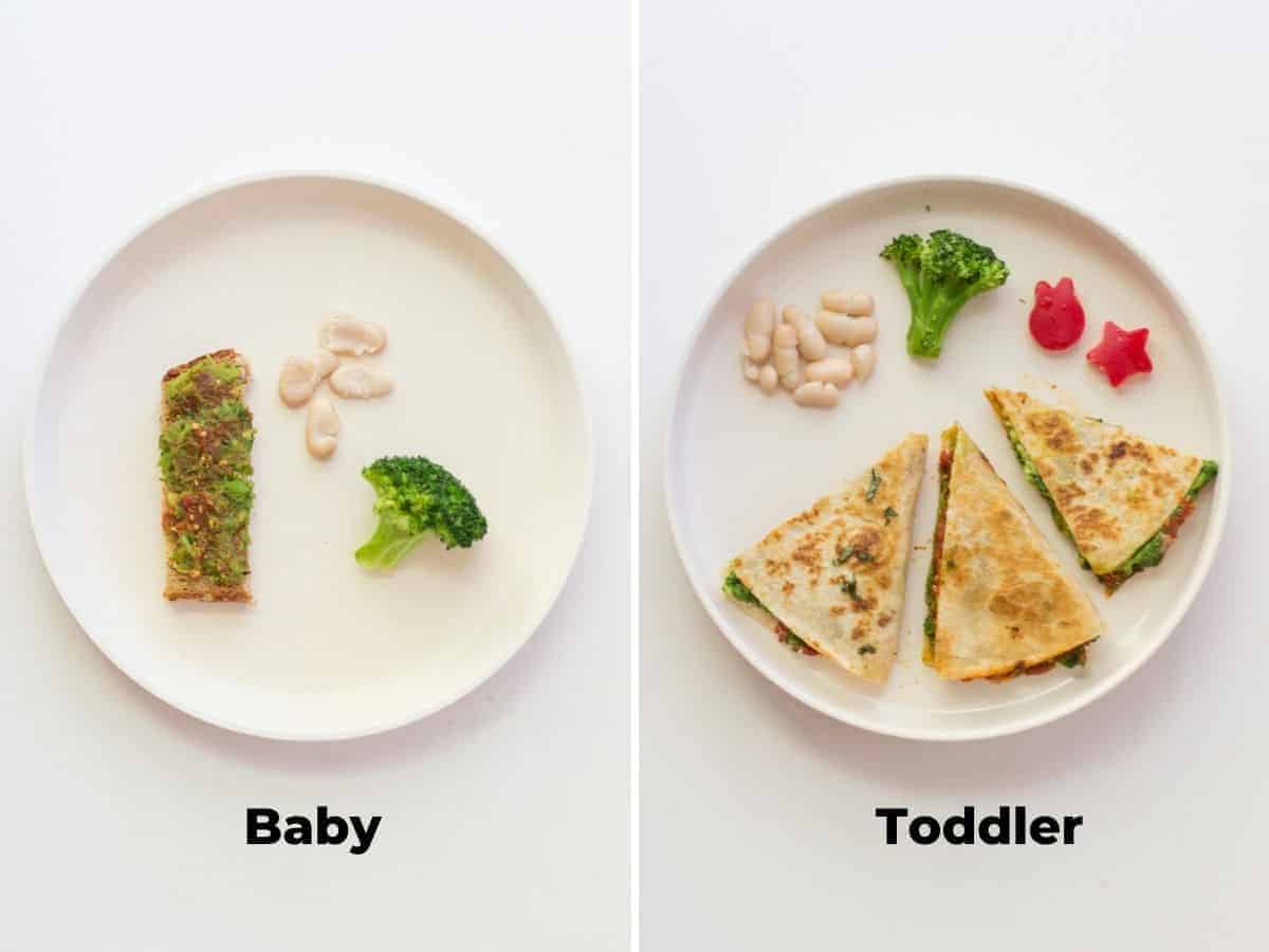 two image collage with baby's plate on left with strip of toast, broccoli, and mashed cannellini beans. On the right a toddler's plate with three quesadilla triangles, beans, one piece of broccoli and two star shaped bell pepper