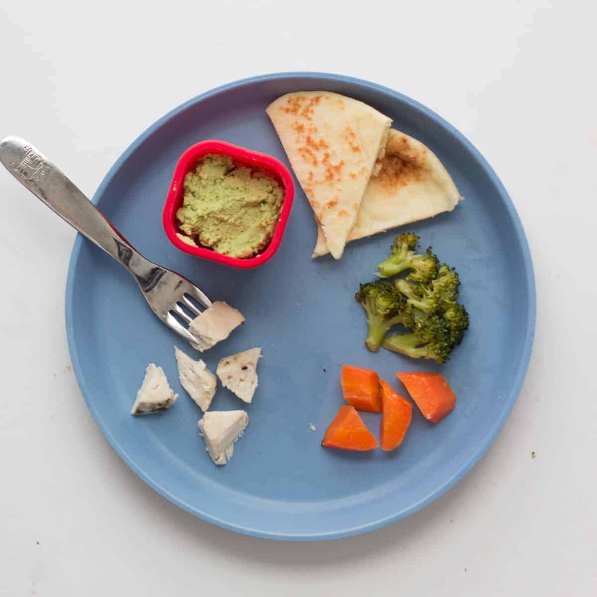 Chicken for Babies (with recipes) - MJ and Hungryman