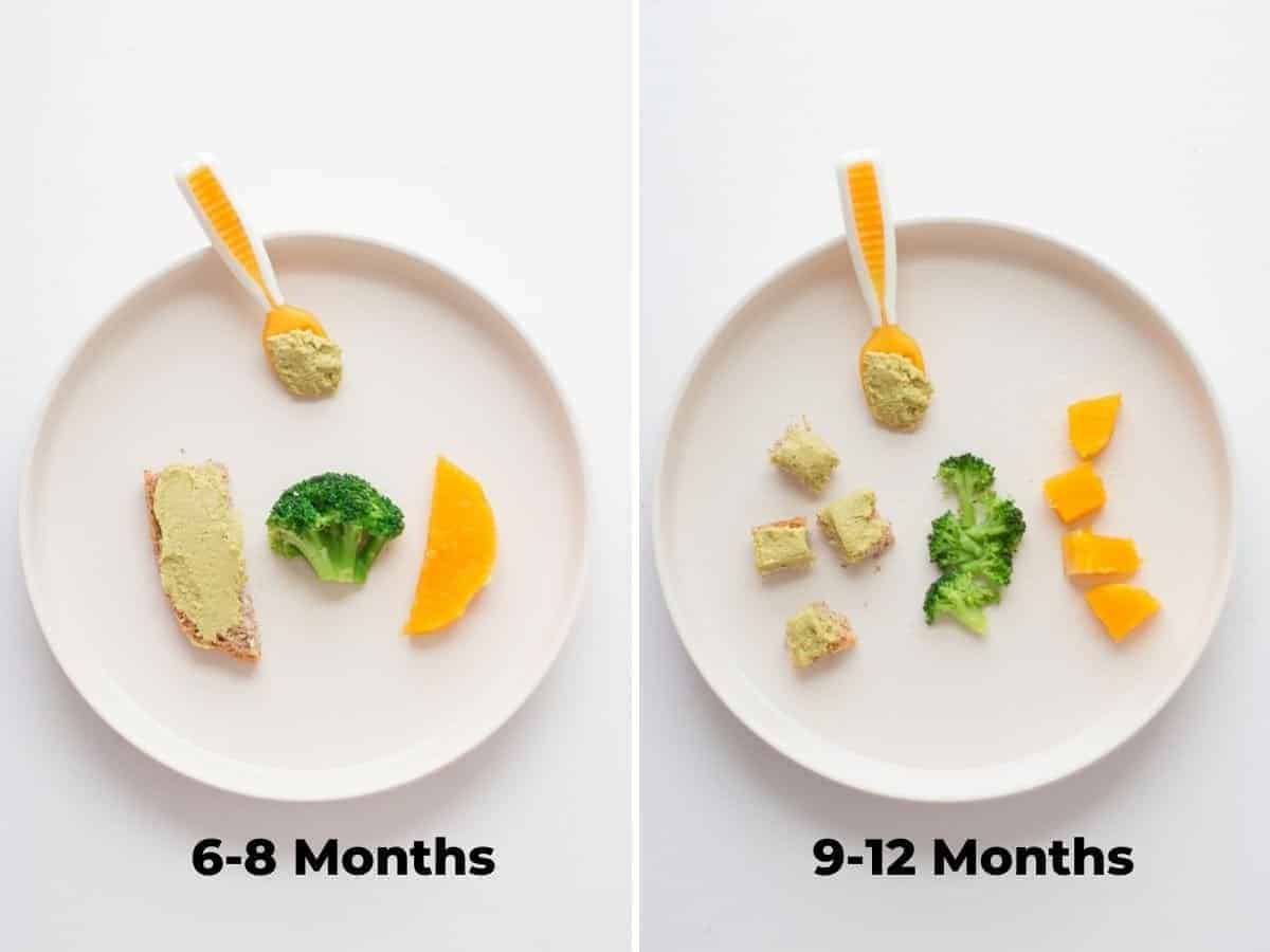 on the left a plate for 6-8 month old baby with hummus toast strip, broccoli floret, moon shaped butternut squash and on the right for 9-12 months, dice the same foods.