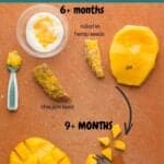a graphic showing how to serve mangoes to babies 6 months and up, 9 months and up, and 18 months and up.