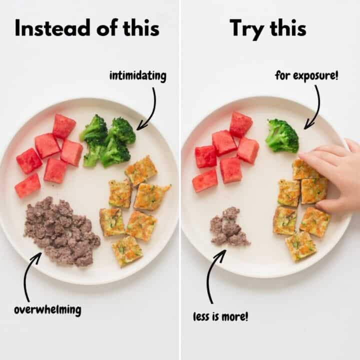 Help! My Toddler Won't Eat Meat (Tips and Recipes) MJ and Hungryman