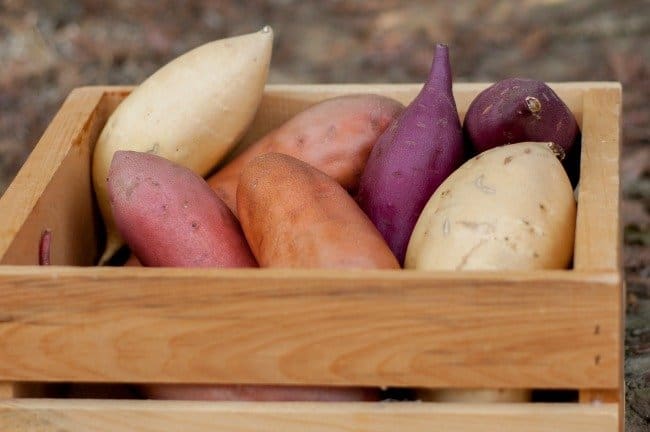 purple, white, and orange sweet potatoes in a wooden crate.