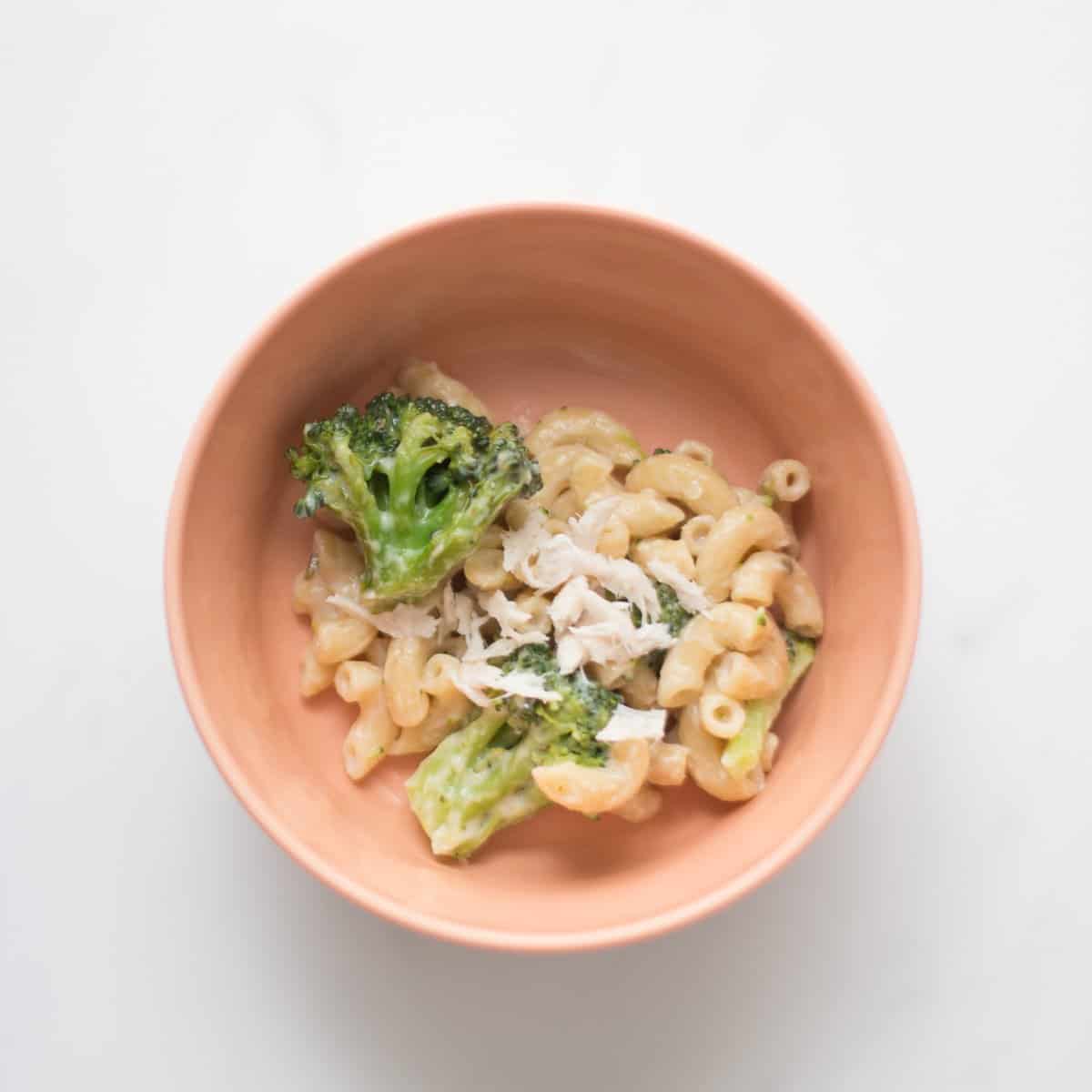 pasta served in a bowl with big broccoli floret and shredded chicken.