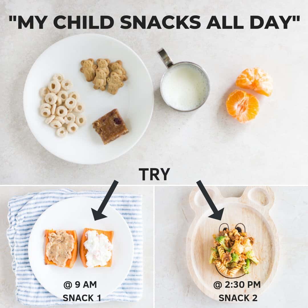Toddler Snacking All Day Long Here's Help   MJ and Hungryman