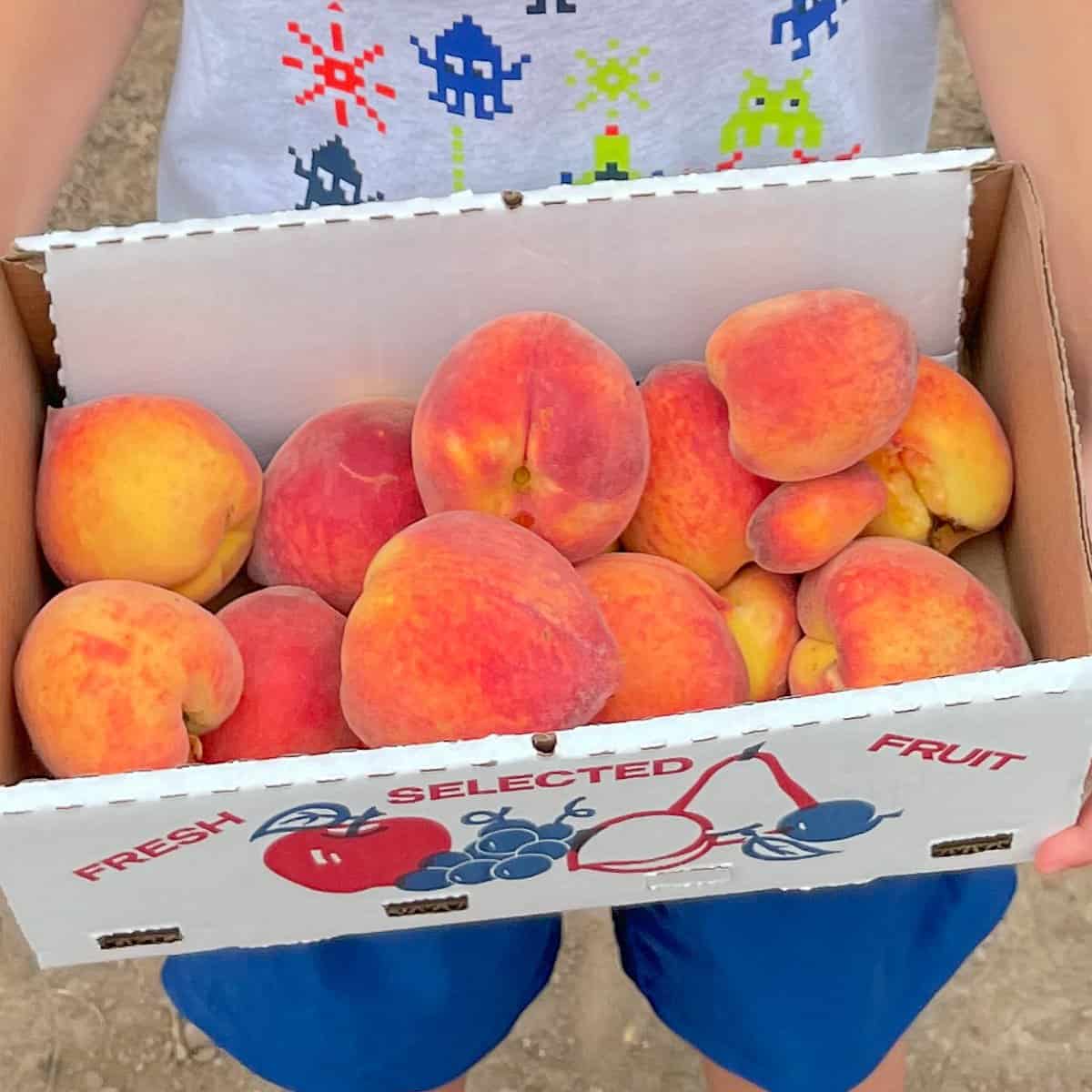 A box full of fresh peaches.