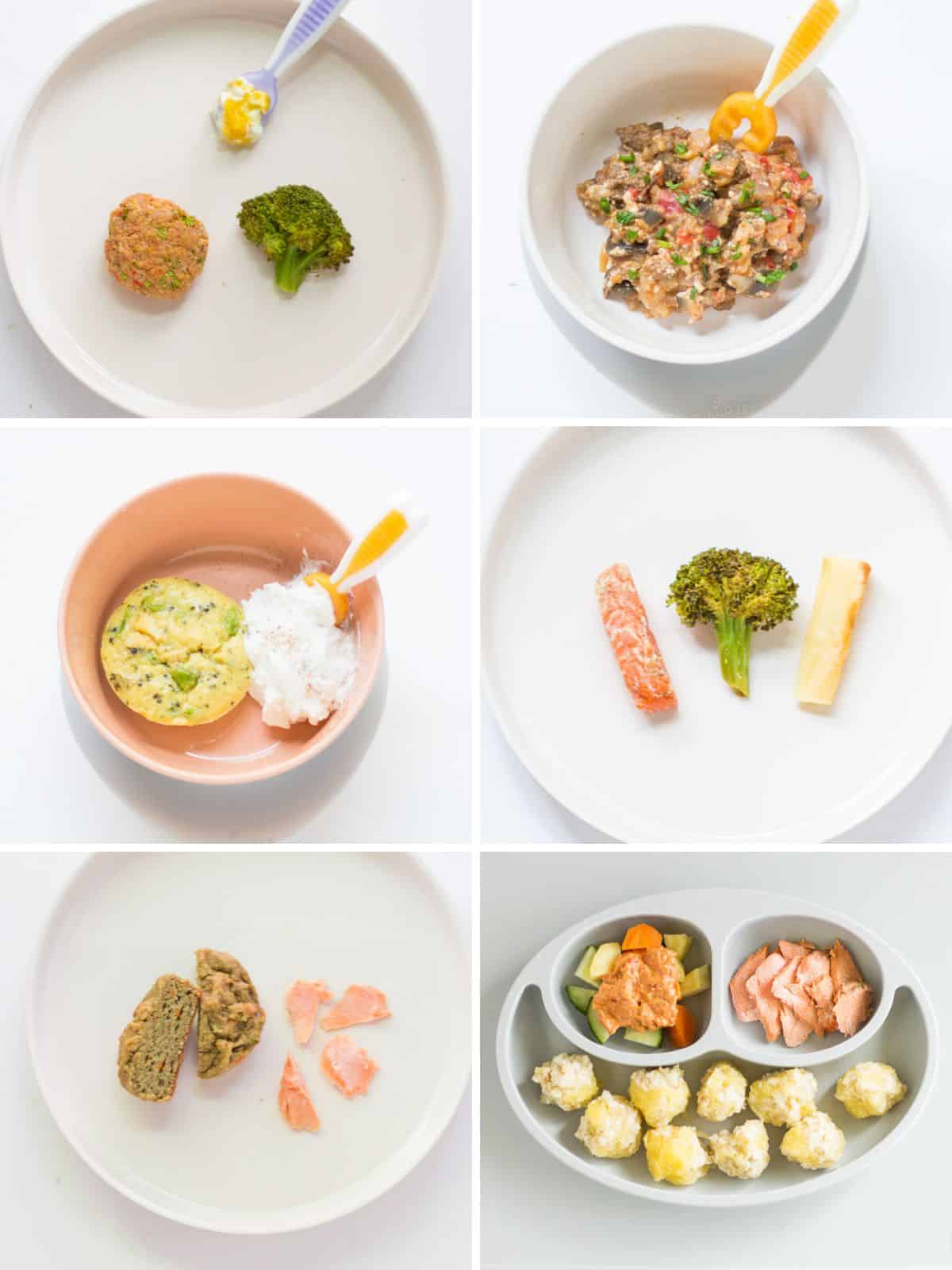 A six image collage of baby's plates with salmon.