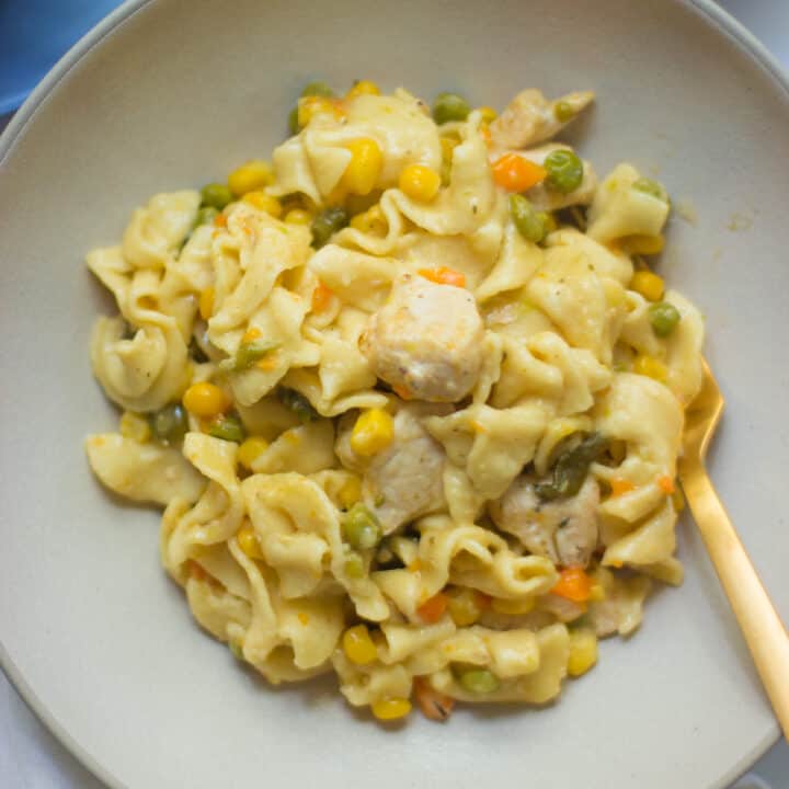 Instant Pot Chicken and Noodles MJ and Hungryman