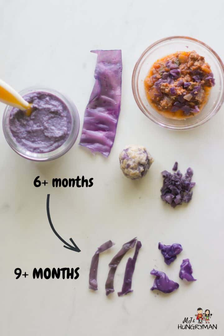 Ultimate Guide to Cabbage for Babies MJ and Hungryman