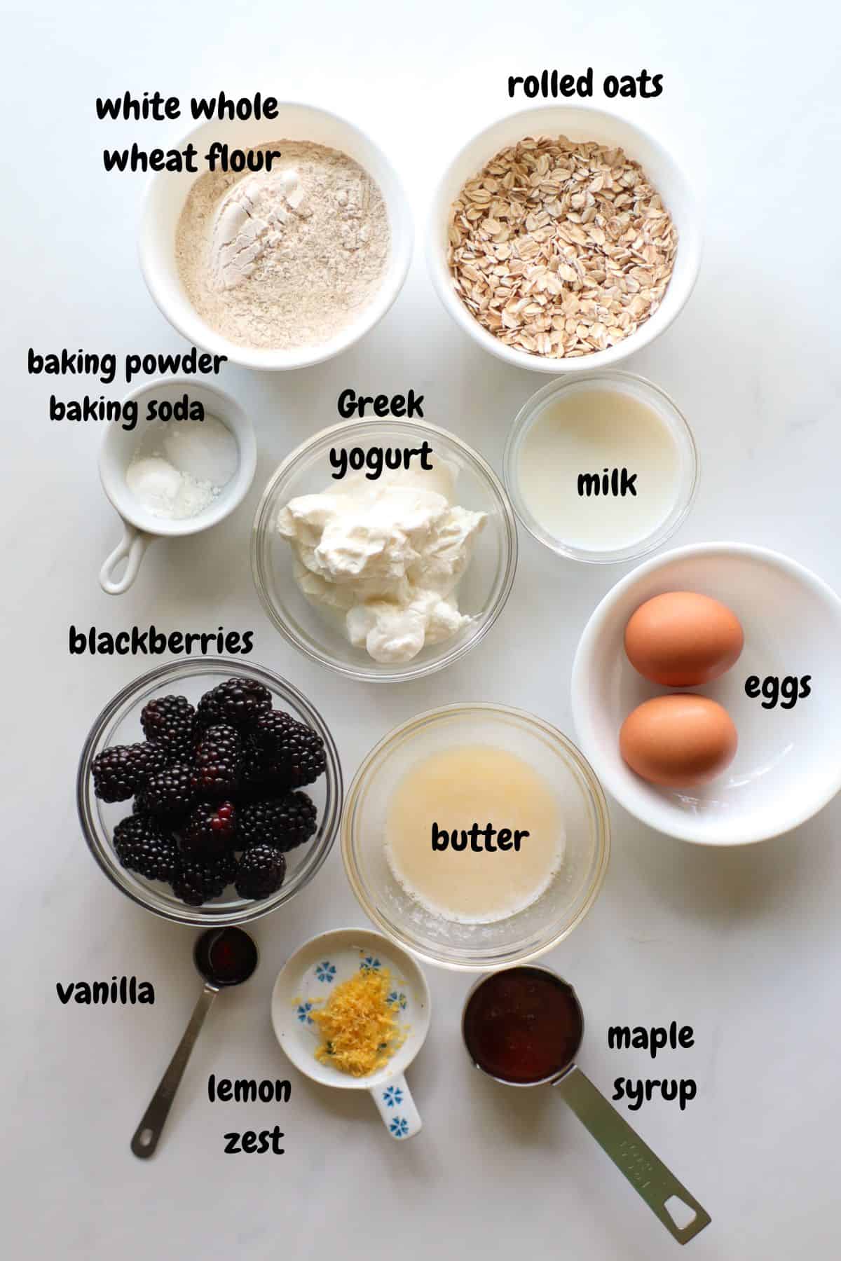 All t he ingredients laid out on a white background and labelled.