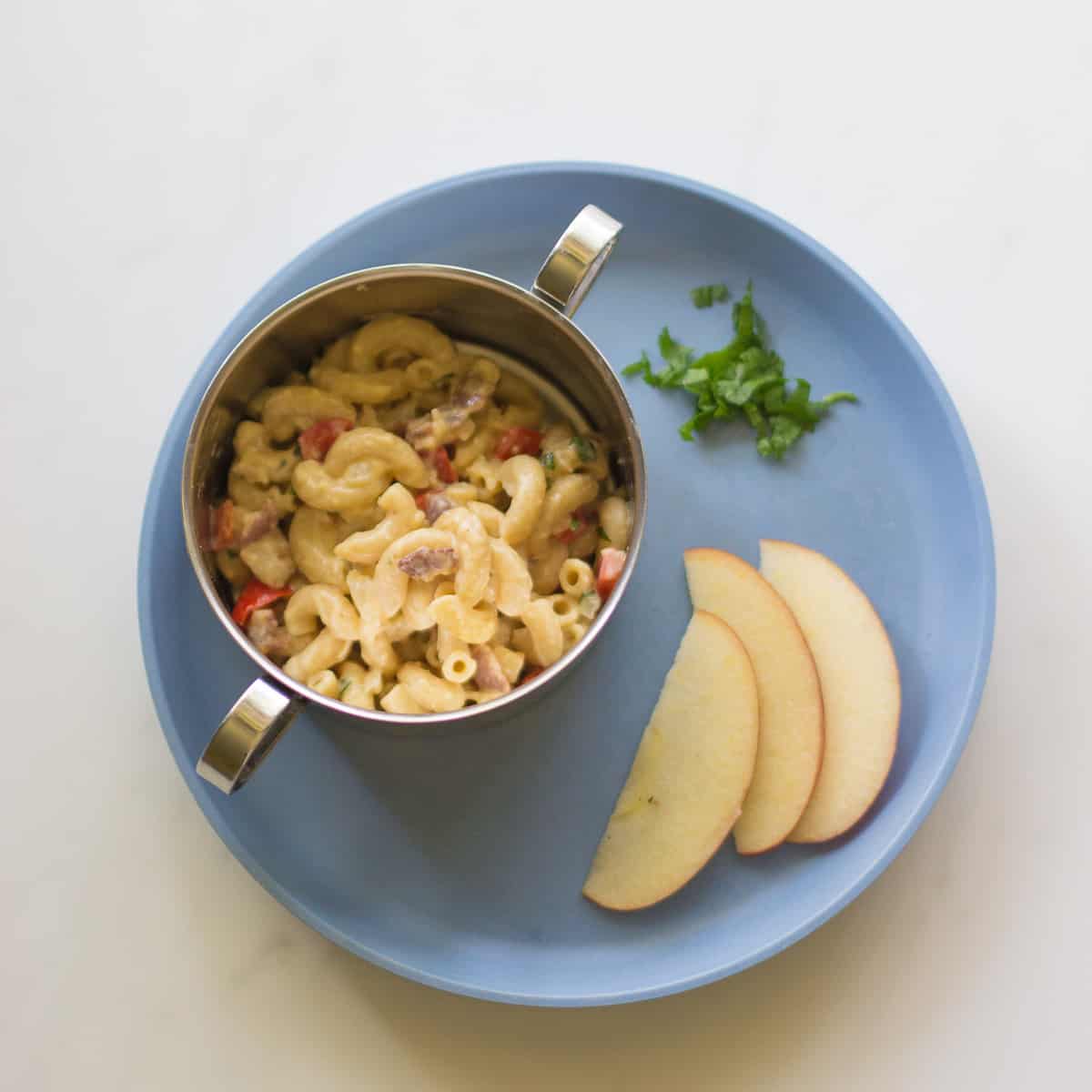 Carbonara in a stainless bowl with sliced apples and a tiny portion of parsley.
