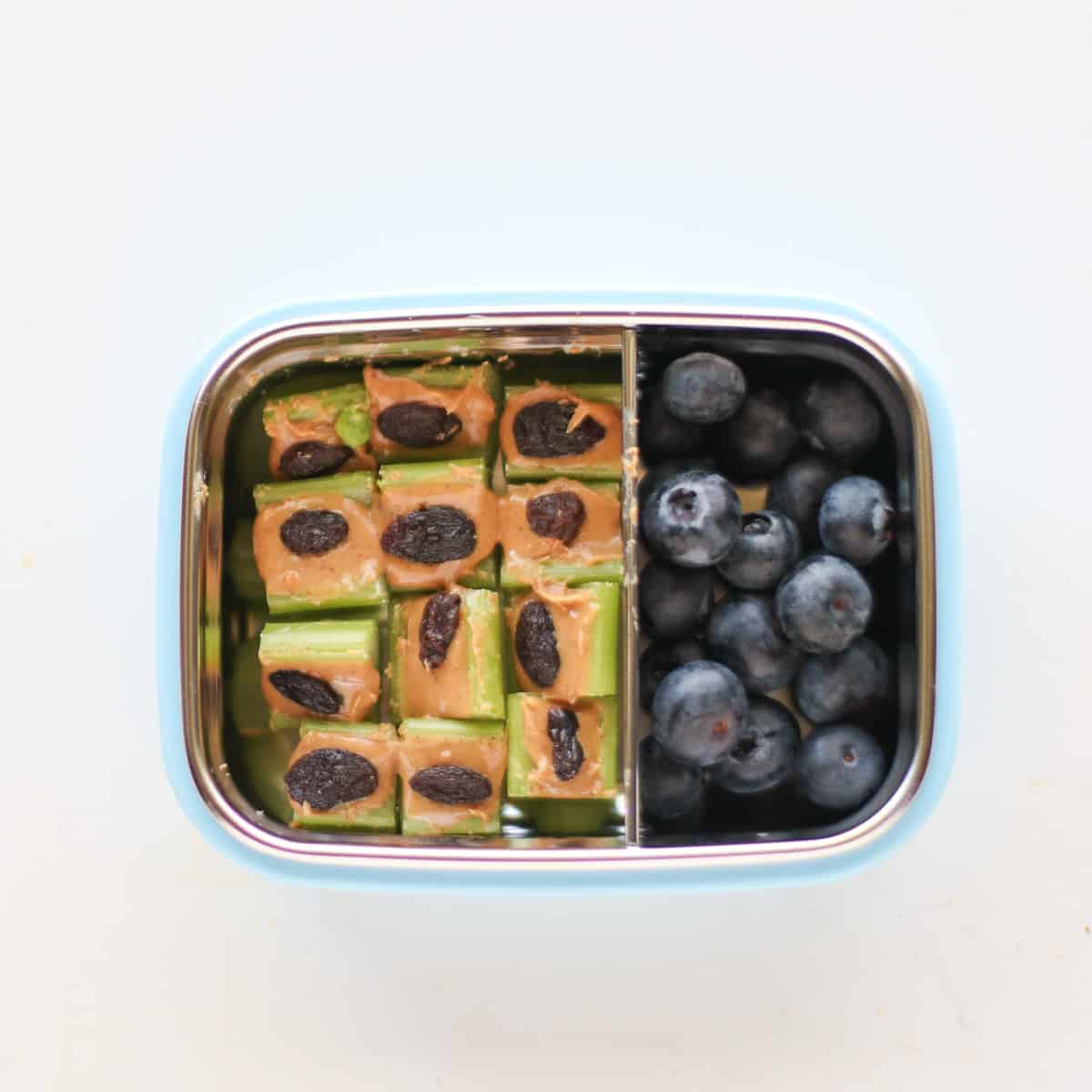 bite-sized ants on a log with fresh blueberries in a snack box.