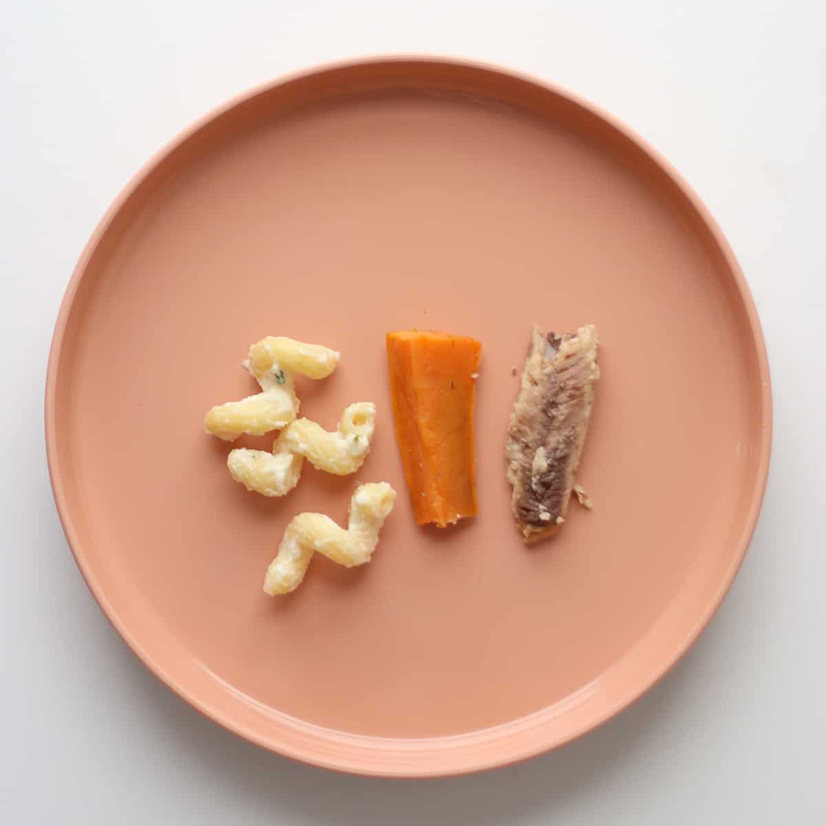 A baby plate with three ricotta pasta, sweet potato strip, and sardine fillet.