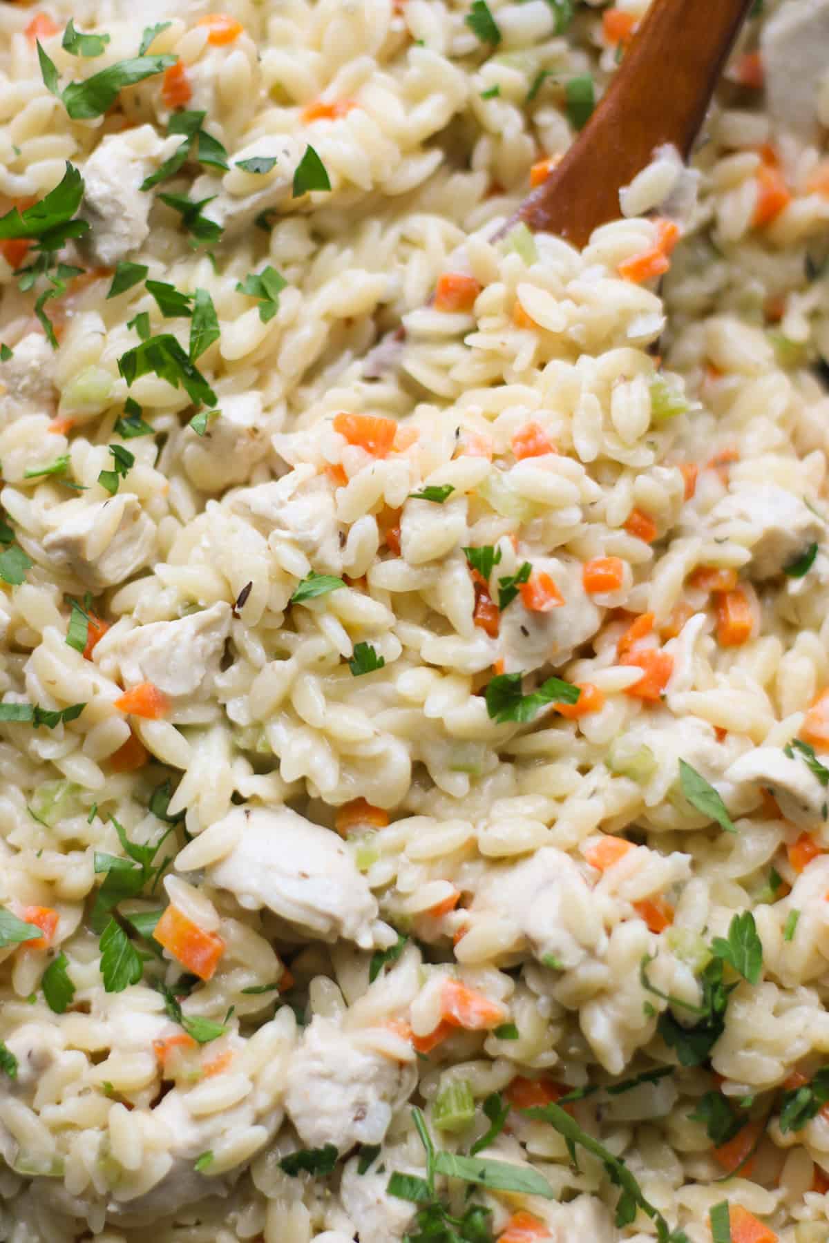 A very close up shot of orzo to showcase its creaminess.