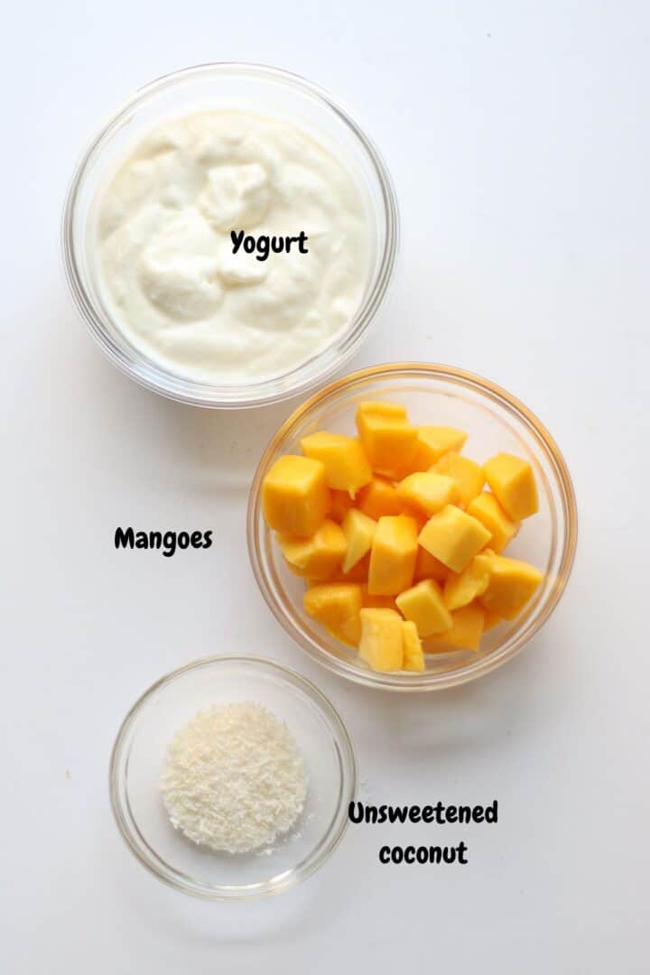 Easy Mango Yogurt MJ and Hungryman