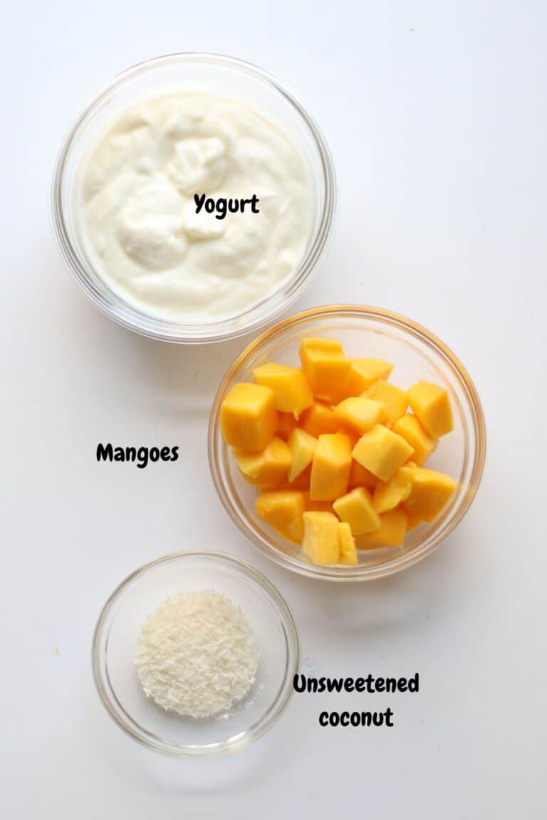 Easy Mango Yogurt MJ and Hungryman