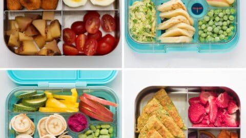Cold Lunch Ideas for School (Quick and Healthy) - MJ and Hungryman