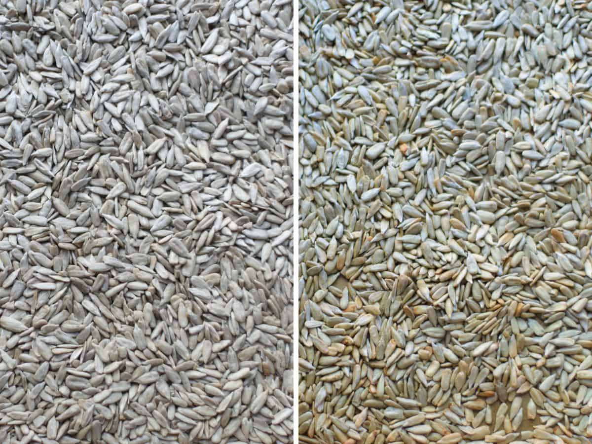 Before and after roasting sunflower seeds.