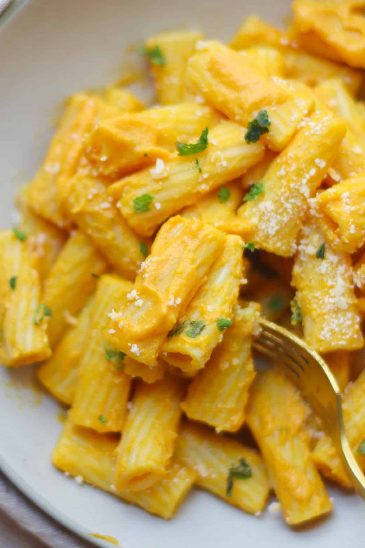A close up shot of forked pumpkin pasta with cheese and parsley.