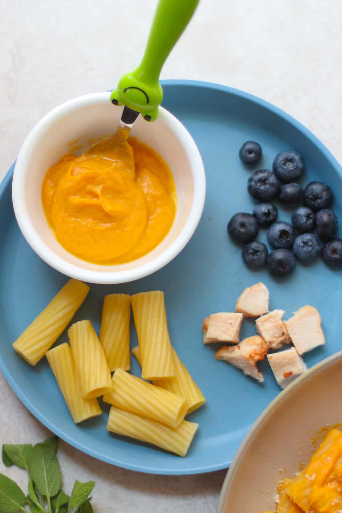 A toddler's plate with sauce in a small bowl with plain pasta, diced chicken, and blueberries.