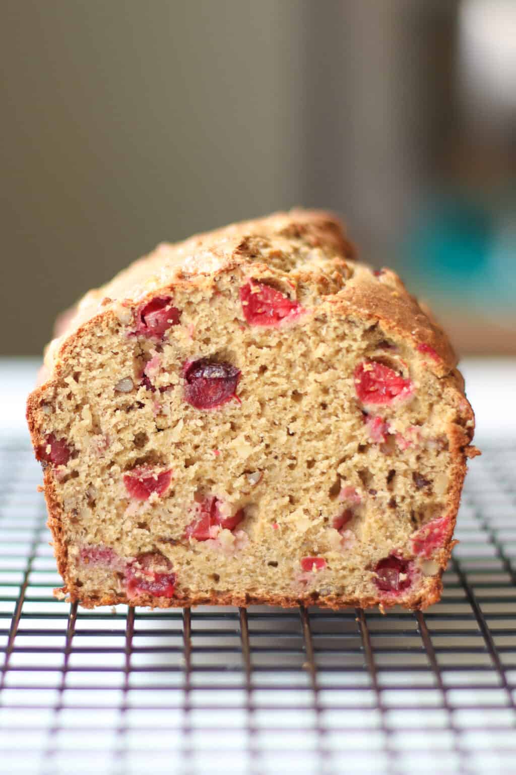 Easy Cranberry Banana Bread MJ and Hungryman