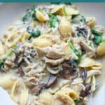 Chicken and mushrooms with pasta served in a white bowl.