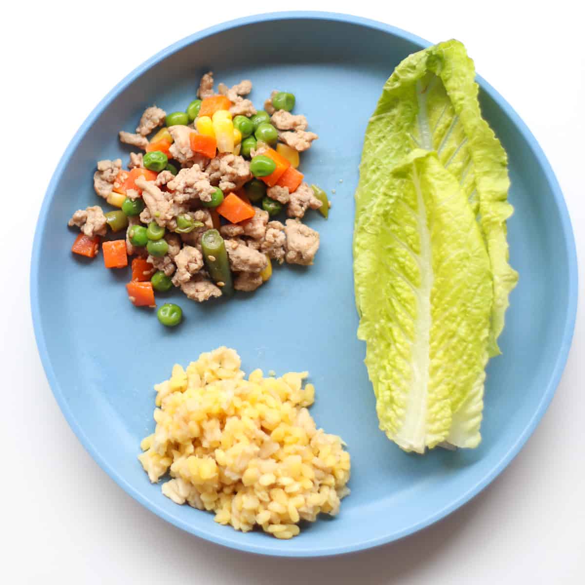 A toddler's plate with a serving of stir fry, rice and leaves of Romaine lettuce separated on a blue plate.