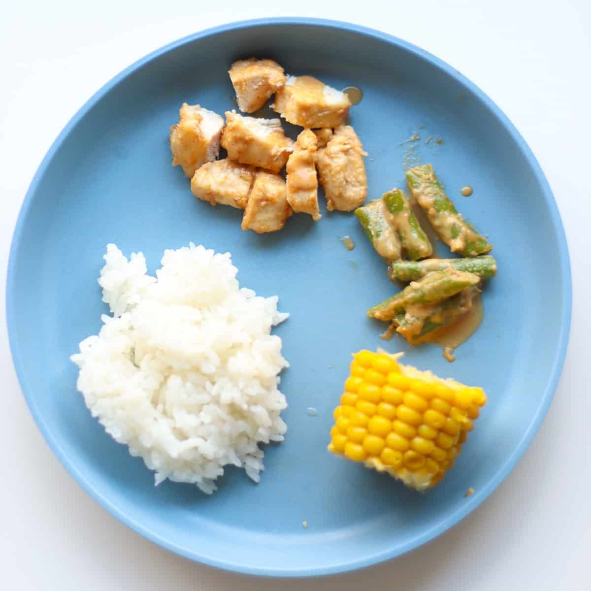 A toddler's plate with portions of chicken, green beans, corn on the cob and rice separated out.