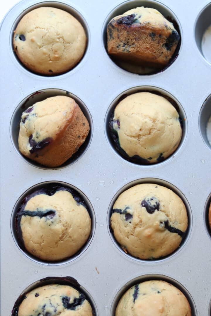 Eggless Blueberry Muffins MJ and Hungryman