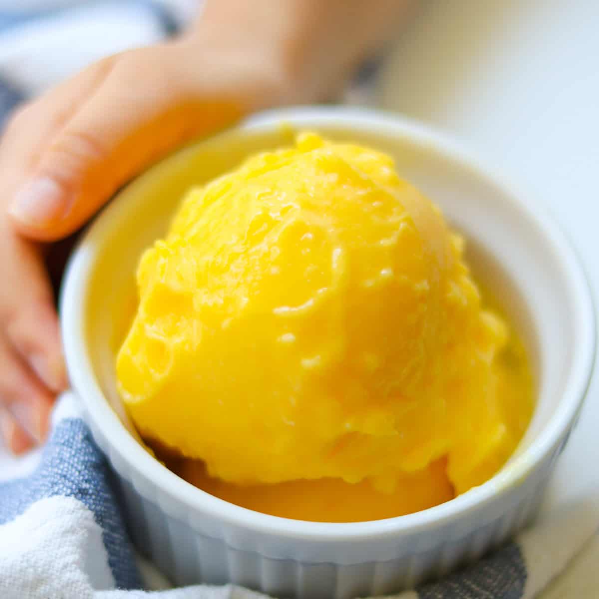 Mango Sorbet